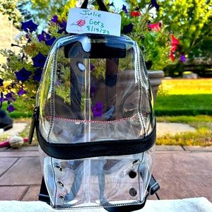 Hammitt Clear Backpack
